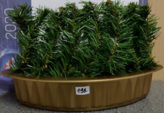 DONICZKA ŁÓDKA DUŻA ZALANA Z ŚWIERKIEM