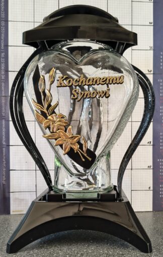 Ż MUSZLA CEBULA SYN