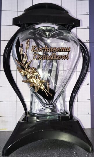 Ż MUSZLA CEBULA DZIADEK